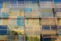 DSC_2739_sito_expo
