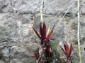 p1110341_corretta_sito