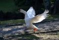 dsc_5929_sito